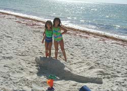 Family rentals in Outer Banks